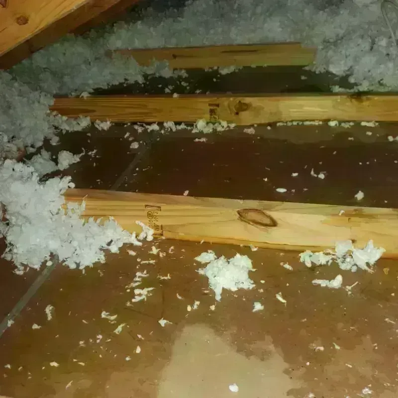 Attic Water Damage in Grosse Pointe Park, MI